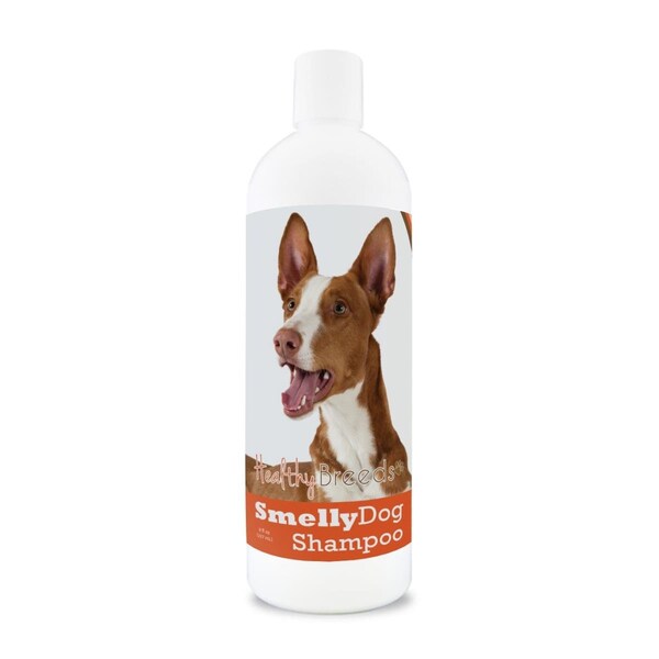 Healthy Breeds 8 oz Ibizan Hound Smelly Dog Baking Soda Shampoo - 192959001051