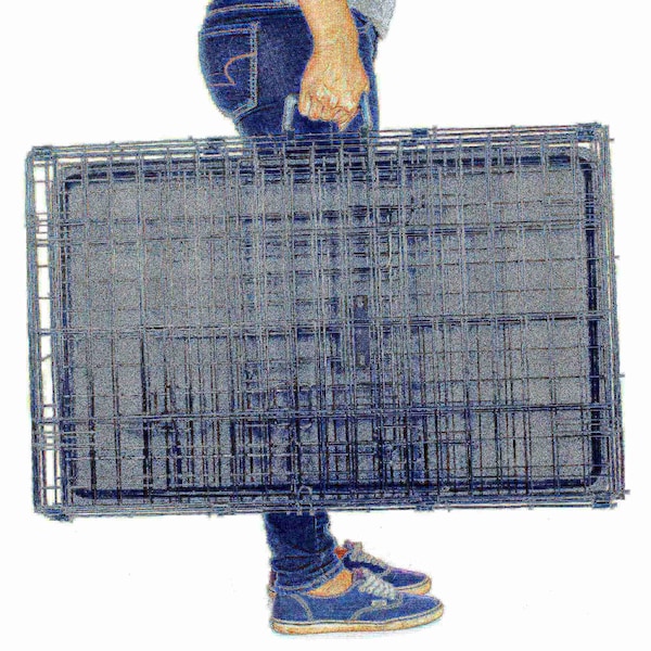 Pet Adobe Pet Adobe Large 2 Door Foldable Dog Crate Cage - 36 x 23 Inch - 891215ICV