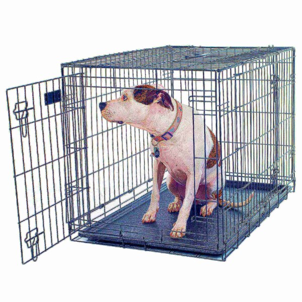 Pet Adobe Pet Adobe Large 2 Door Foldable Dog Crate Cage - 36 x 23 Inch - 891215ICV