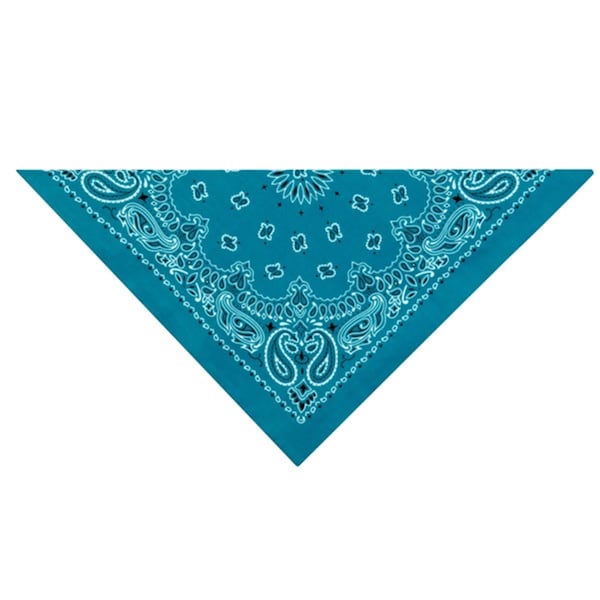 Petedge Top Performance Paisley Dog Bandanas, Light Blue - ZX022 192