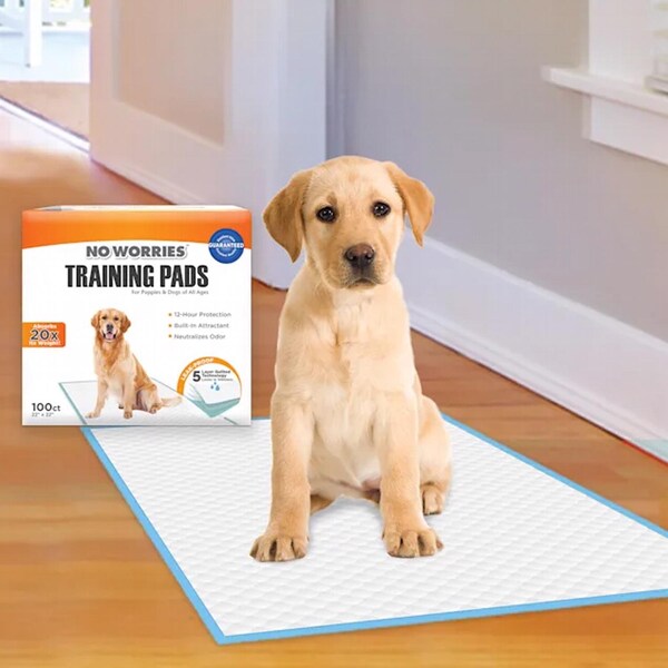Animal Planet Four Paws No Worries Plastic Training Pads 100 pk - 35302