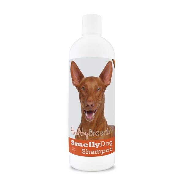 Healthy Breeds 8 oz Pharaoh Hound Smelly Dog Baking Soda Shampoo - 192959001709
