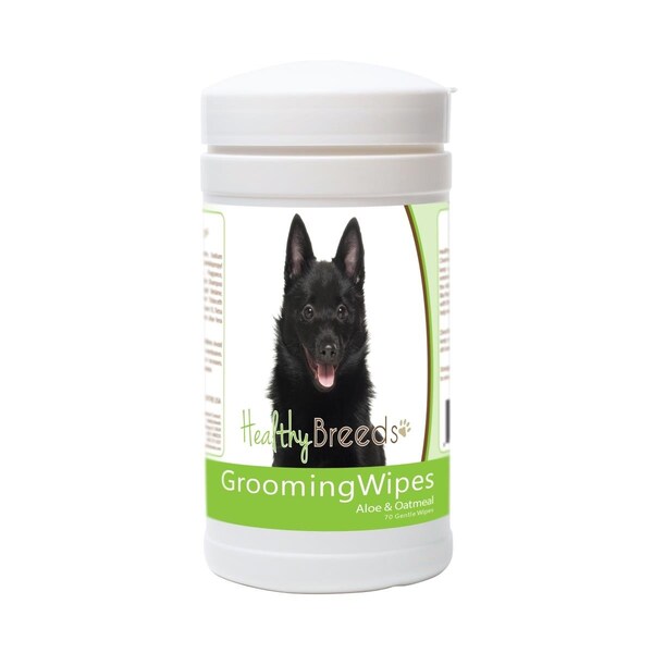 Pamperedpets Schipperke Grooming Wipes, 70PK - PA3498638