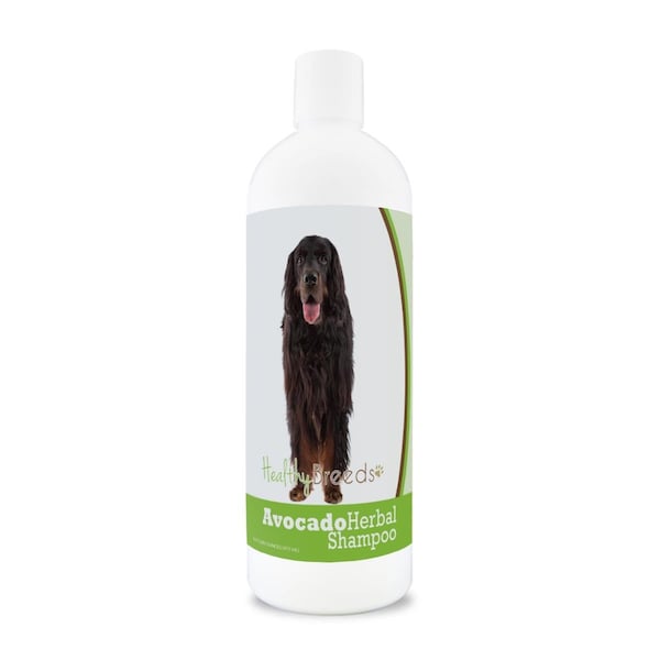 Healthy Breeds Gordon Setter Avocado Herbal Dog Shampoo - 840235157571