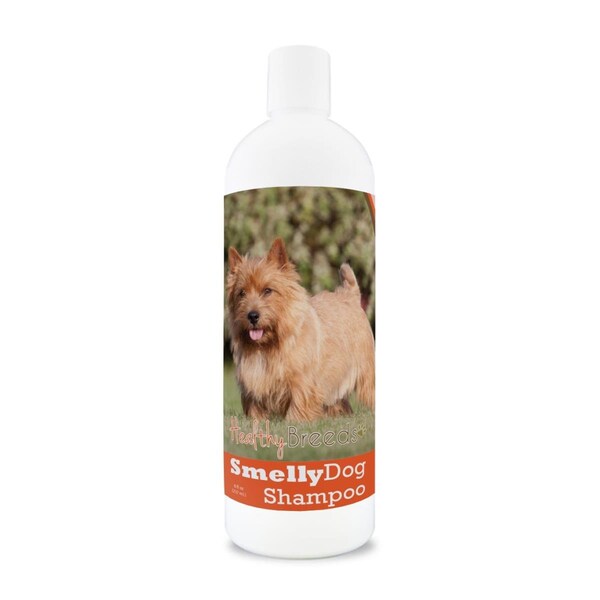 Healthy Breeds Norwich Terrier Smelly Dog Baking Soda Shampoo - 840235160229