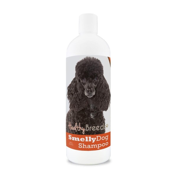 Healthy Breeds 8 oz Poodle Smelly Dog Baking Soda Shampoo - 192959001747