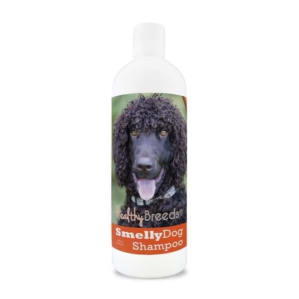 Healthy Breeds 8 oz Irish Water Spaniel Smelly Dog Baking Soda Shampoo - 192959000849