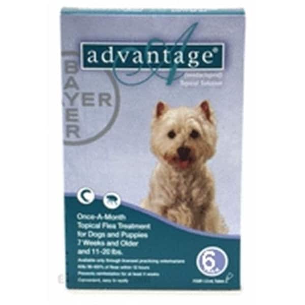 Bayer Bayer ADVANTAGE6-TEAL Advantage 6 Pack Dog 11-22 Lbs. - Teal - ADVANTAGE6-TEAL
