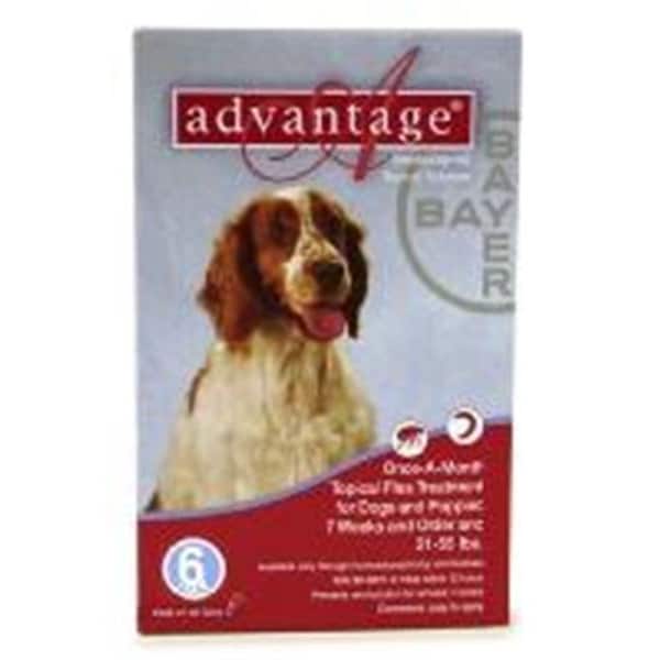 Bayer Bayer ADVANTAGE6-RED Advantage 6 Pack Dog 21-55 Lbs. - Red - ADVANTAGE6-RED