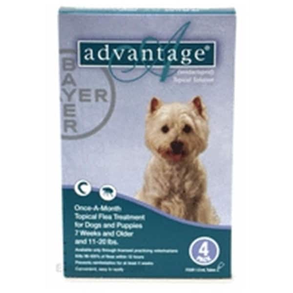 Bayer Advantage 4 Pack Dog 1122 Lbs Teal 4PK - ADVANTAGE4TPKL