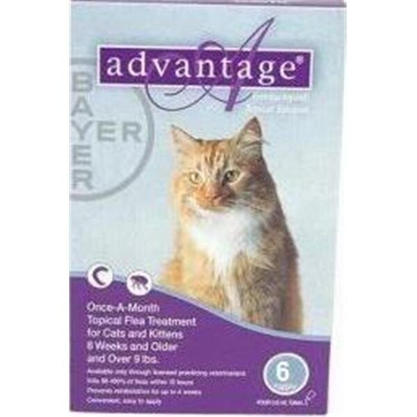 Bayer Bayer ADVANTAGE6-PURPLE Advantage 6 Pack 9 Lbs. & Up - Purple - ADVANTAGE6-PURPLE