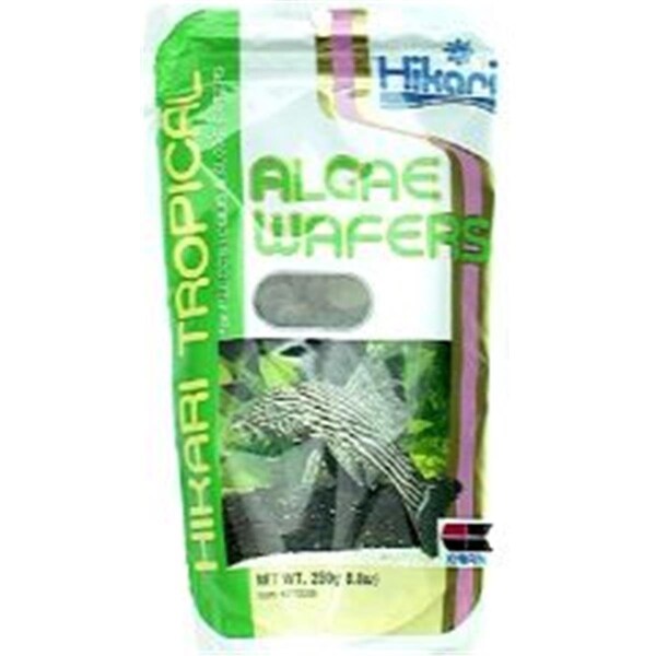 Hikari Sales Usa Hikari Sales Tropical Algae Wafers 8.80 Ounces - 21328 - 801112