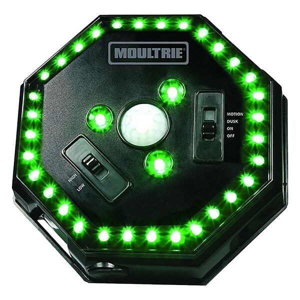 Moultrie Feeder Hog Light, Battery, Metal, BlackGreen - MFA-12651