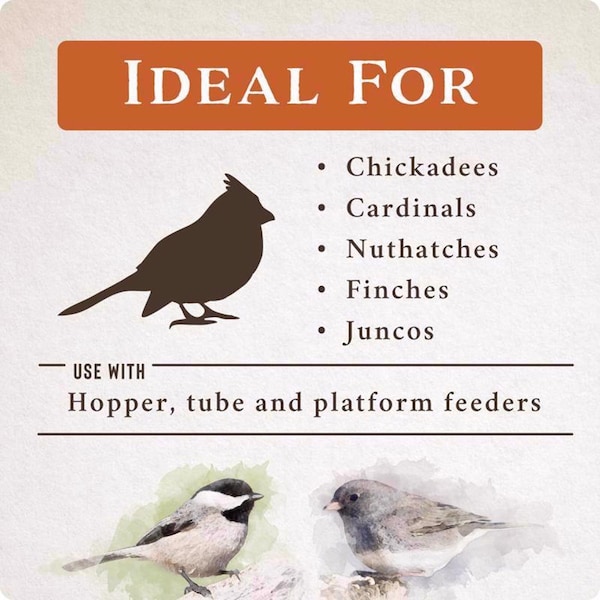 Global Harvest Foods Songbird Selections Wild Bird Seed Wild Bird Food 10 lb - 13637