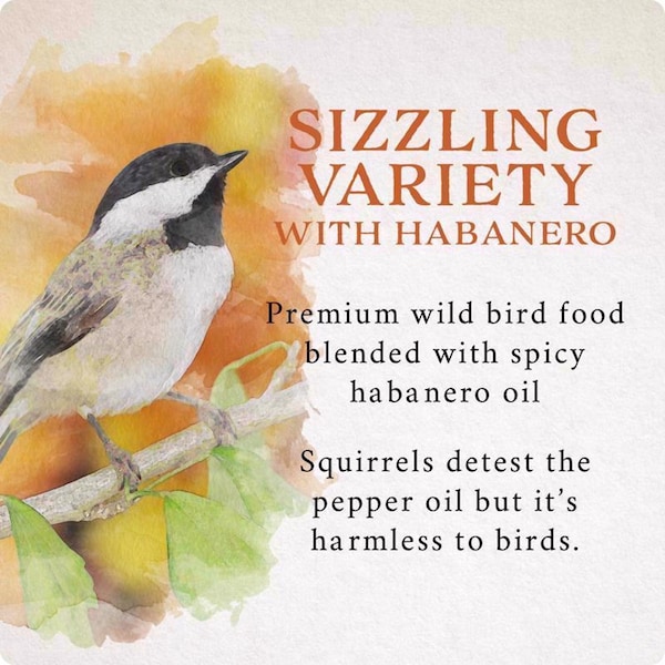 Global Harvest Foods Songbird Selections Wild Bird Seed Wild Bird Food 10 lb - 13637