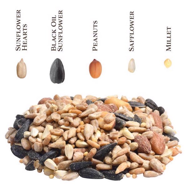 Global Harvest Foods Songbird Selections Wild Bird Seed Wild Bird Food 10 lb - 13637