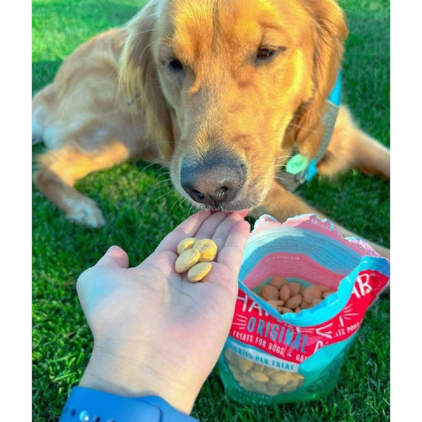 Charlee Bear Original Crunch Chicken Liver Biscuit For Dogs 16 oz - 107466