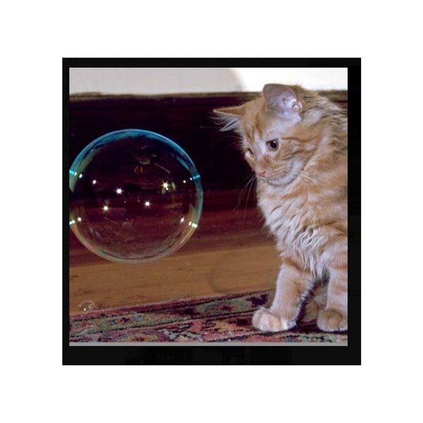 Multipet Catnip Bubbles Catnip Garden Grain Free For Cats 5 oz - 20515