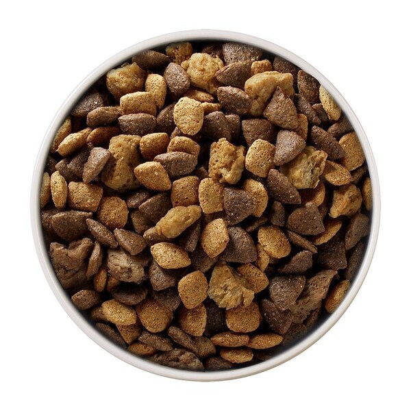 Purina One Purina SmartBlend Dog Food, Dry, Lamb, Rice, Turkey Flavor, 8 lb Bag - 17384
