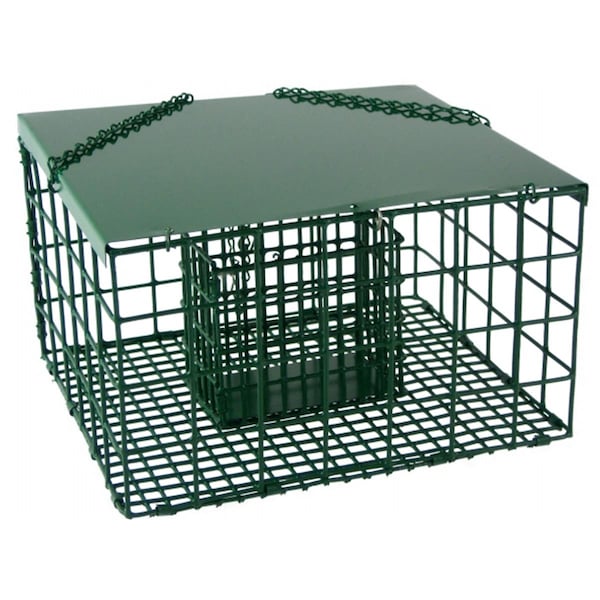 Songbird Essentials 7in x 9.5in x 11in Squirrel Resistant Suet Palace - SE6000