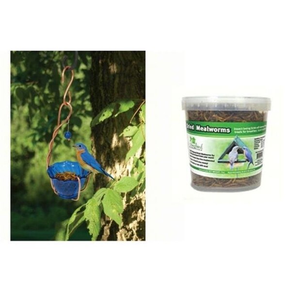 Songbird Essentials Songbird Essentials SE647 Tub of Dried Mealworms; 7 oz - SE647
