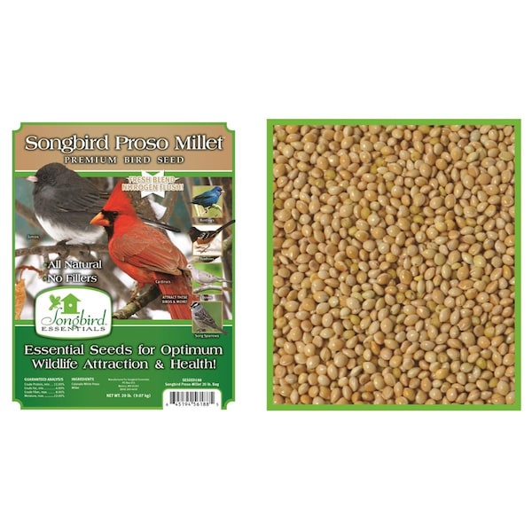 Songbird Essentials 20 lbs Songbird Proso Millet - SESEED188GC