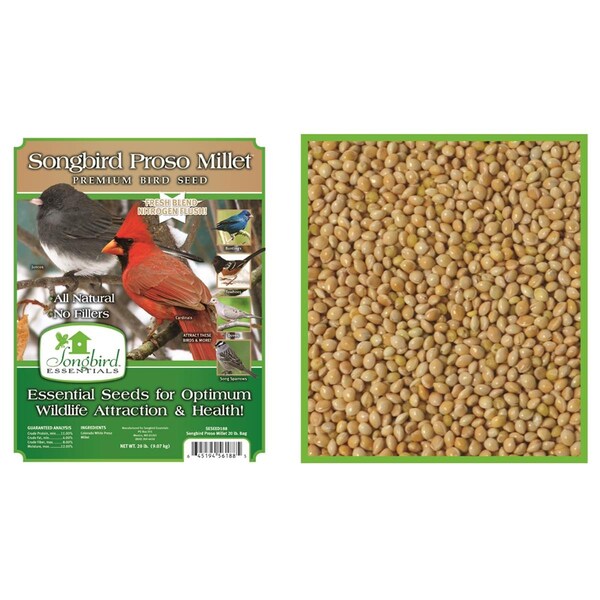 Songbird Essentials 5 lbs Songbird Proso Millet - SESEED187GC