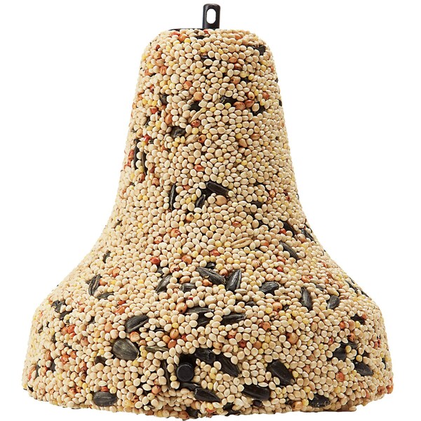 Kaytee Products Kaytee Honey Seed Wild Bird Sunflower Seed Bell 1 lb - 100063940