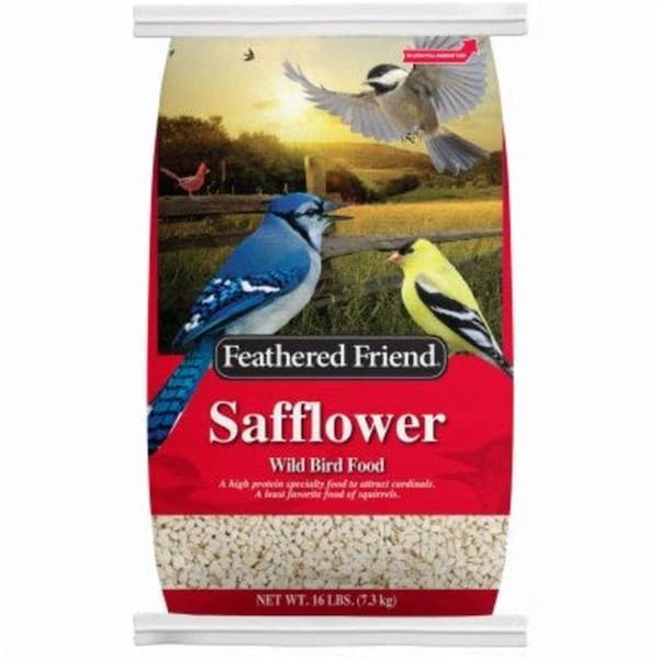 Personagrata 16 lbs Safflower Wild Bird Food - PE3864891