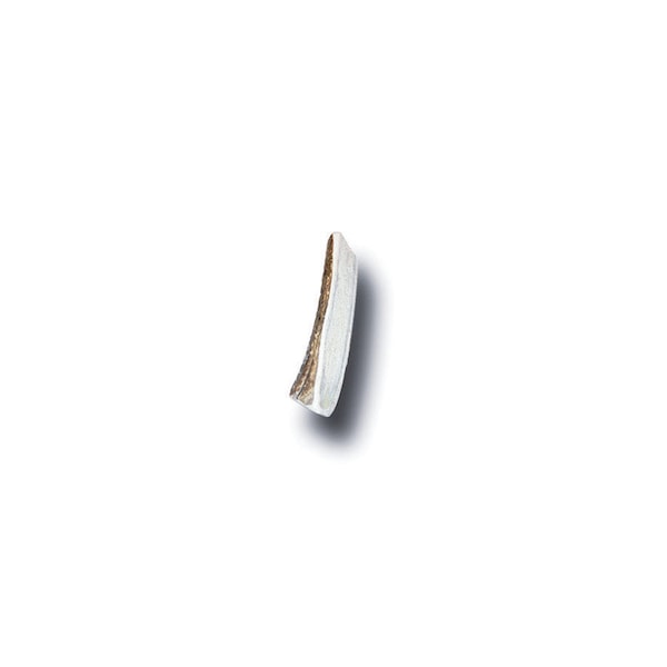 Bucky Bites Bucky Bites Medium/Large Adult Rawhide Sticks Antler 4 in. L 1 pk - LS1005