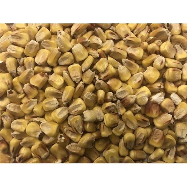 Prince Premium Feed Prince Premium Feed 1537 No. 50 Bin Run Whole Corn Bird Feed - 25 kg - 1537