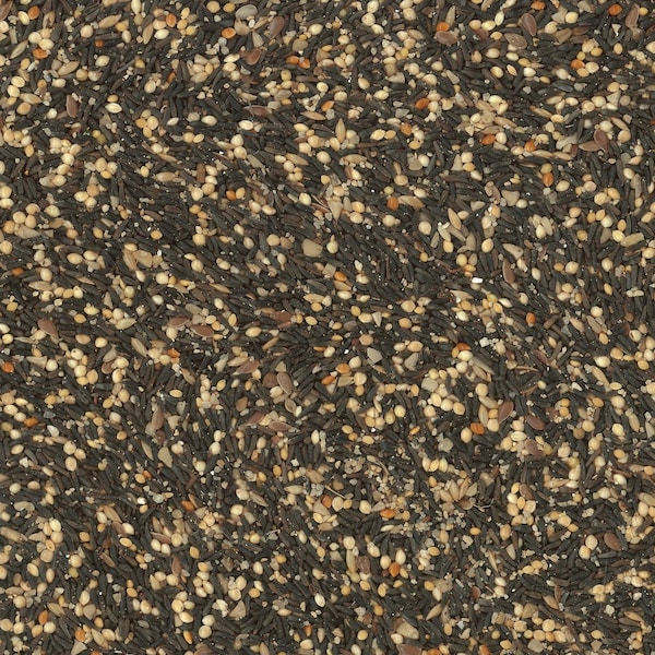 Kaytee Products Kaytee Wild Finch Blend Songbird Millet Wild Bird Food 3 lb - 100064692