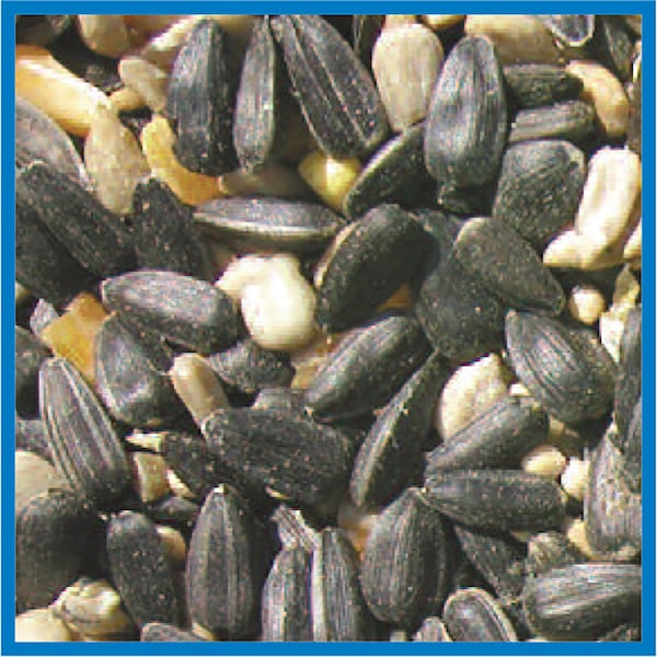 Coles Cole's Blue Ribbon Blend Assorted Species Black Oil Sunflower Wild Bird Food 10 lb - BR10