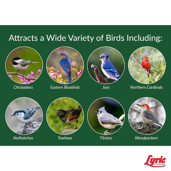Lyric Lyric Chickadee and Nuthatch Peanut Pieces Wild Bird Food 5 lb - 26-47429
