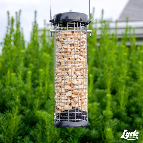 Lyric Lyric Chickadee and Nuthatch Peanut Pieces Wild Bird Food 5 lb - 26-47429