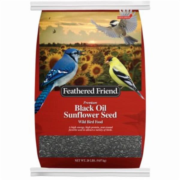 Global Harvest Foods 20 lbs Black Oil Sunflower Seeds - 110428