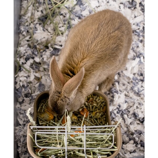 Kaytee Products Forti-Diet Natural Small Animal Food 24 oz - 100213776