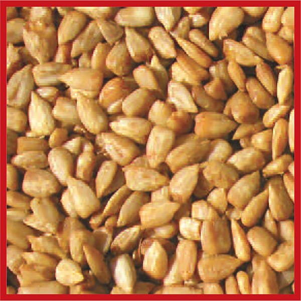 Coles Cole's Hot Meats Assorted Species Sunflower Meats Wild Bird Food 20 lb - HM20