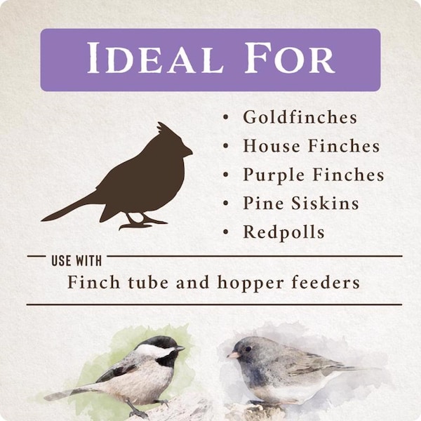 Global Harvest Foods Songbird Selections Wild Finch Feast with Nyjer Wild Bird Seed Wild Bird Food 10 lb - 13634