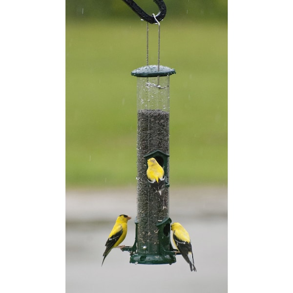 Audubon Audubon Wild Bird 2 lb Metal Tube Bird Feeder 4 ports - NATUBE2