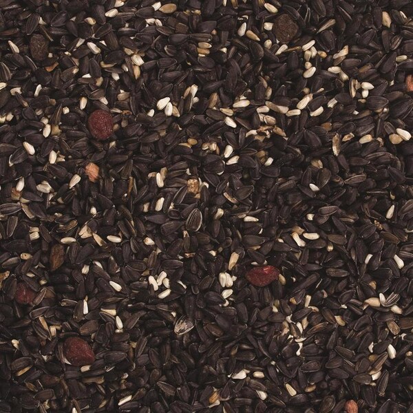 Wild Delight Wild Delight Songbird Sunflower Seeds Wild Bird Food 8 lb - 377080