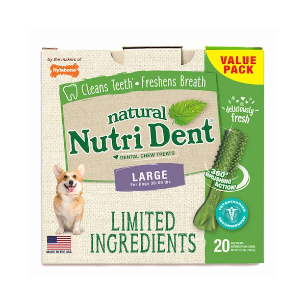 Nylabone Nutri Dent Dental Chews Fresh Breath Lar - NTD443T20P