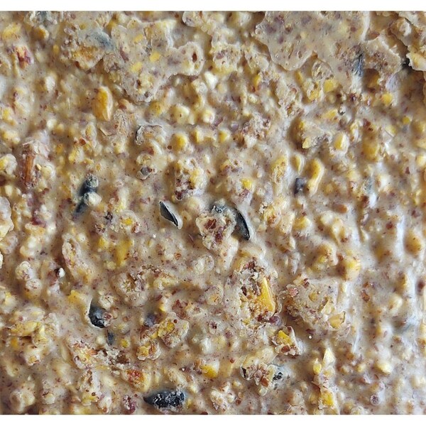 Heath Wild Bird Seed, Crafted Suet, Cake, 11.75 oz, Pack, 12PK - DDC1-12