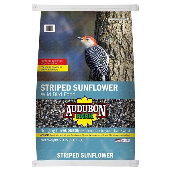 Global Harvest Foods Audubon Park Striped Sunflower Seed, 20 lb - 12554