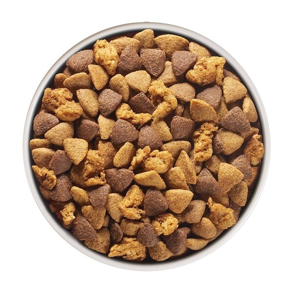 Purina One Tidy Cats ONE +Plus Dog Food, All Sizes Breed, Diced, Dried, Kibble, 16.5 lb Bag - 18408