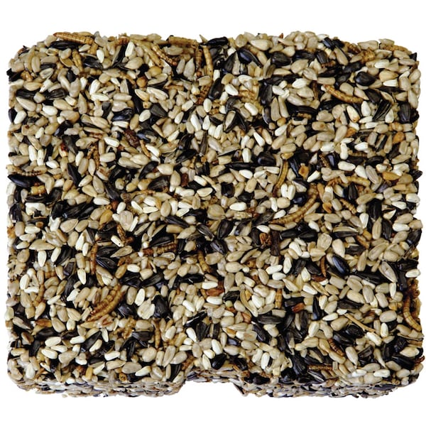 Kaytee Products Kaytee Assorted Species Seed and Mealworm Seed Cake 1.4 lb - 100528690
