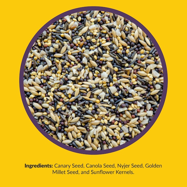 Lyric Lyric Finch Canary Grass Seed Wild Bird Food 5 lb - 26-47404