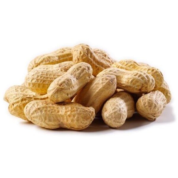 Natures Select Ingredients Natures Select Ingredients 001528 25 lbs Peanuts Raw in Shell for Wild Bird Feed - 1528