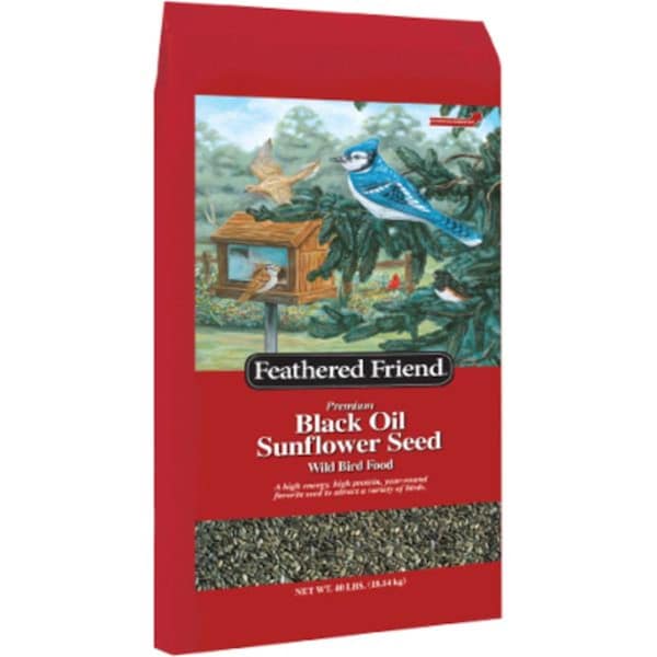 Global Harvest Foods 40 lbs Black Oil Sunflower Seeds - 110429