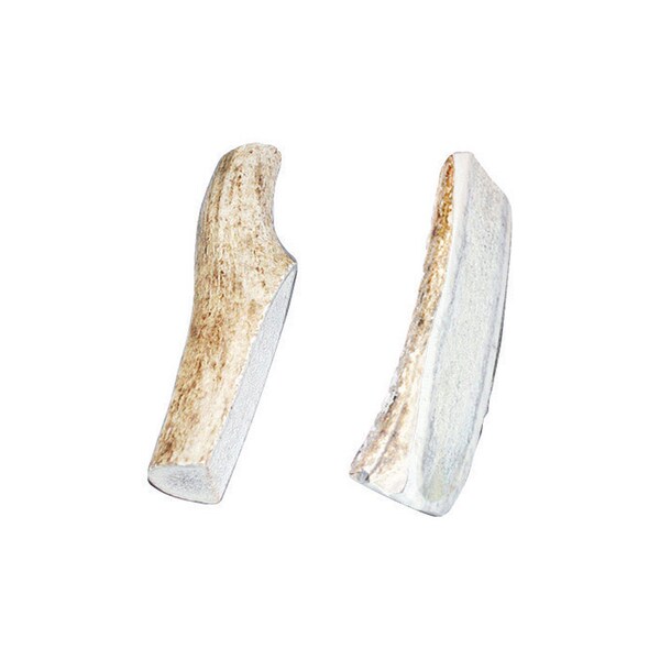 Bucky Bites Bucky Bites Medium-Large All Ages Rawhide Sticks Antler 4 in. L 2 pk - SK1000
